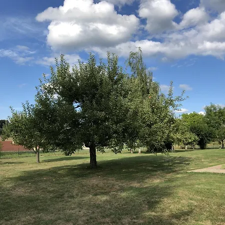 Dcv Summer Blis-et-Born