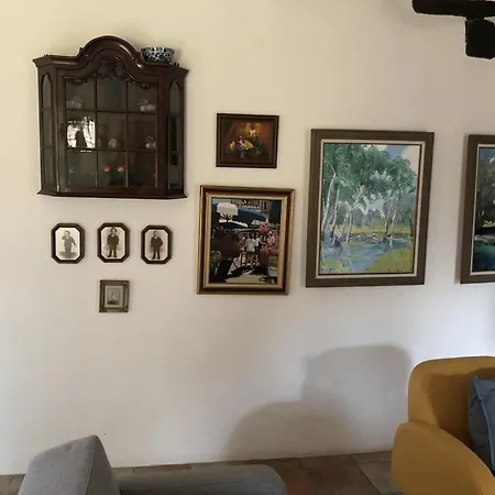 Dcv Summer * Blis-et-Born