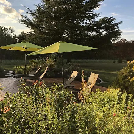 Dcv Summer Blis-et-Born