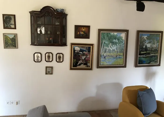 Dcv Summer * Blis-et-Born