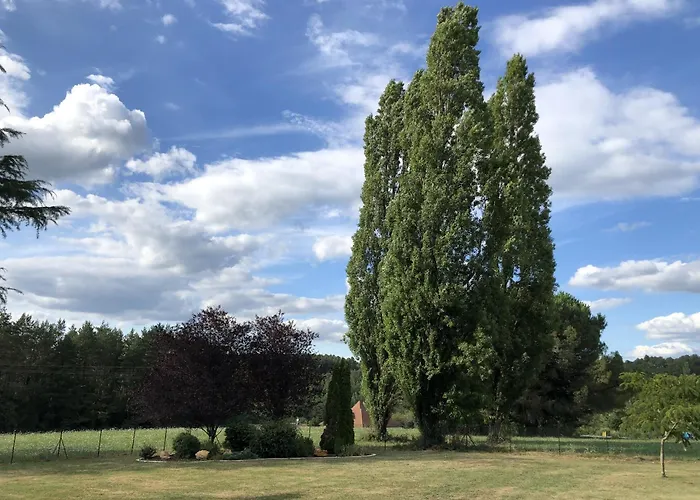 Vakantiehuis Dcv Summer Blis-et-Born